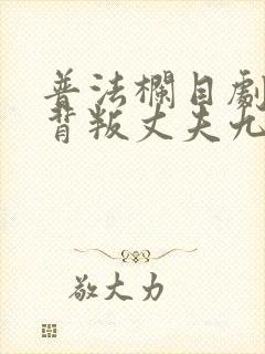 普法栏目剧妻子背叛丈夫九集