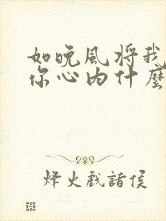 如晚风将我吹进你心内什么歌粤语