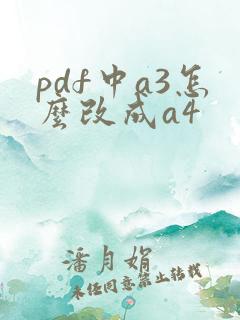 pdf中a3怎么改成a4