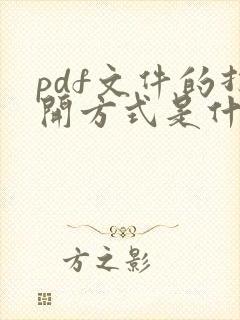 pdf文件的打开方式是什么