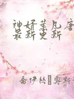 神婿叶凡唐若雪最新更新
