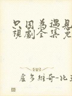 只因为遇见你电视剧全集免费观看56