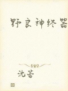 野良神终器