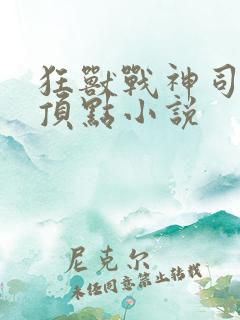 狂兽战神司空靖顶点小说