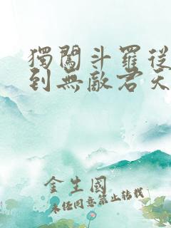 独闯斗罗从穿越到无敌君天麟