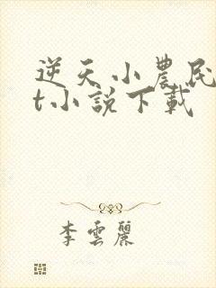 逆天小农民txt小说下载