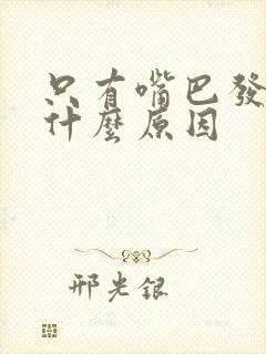 只有嘴巴发苦是什么原因