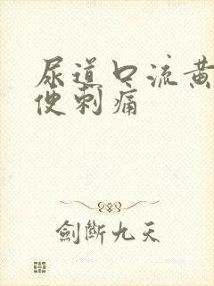 尿道口流黄脓小便刺痛