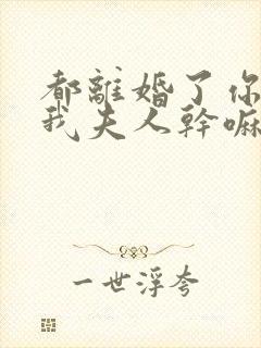 都离婚了你还叫我夫人干嘛林书音小说