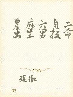 农历六月二十二出生男孩命