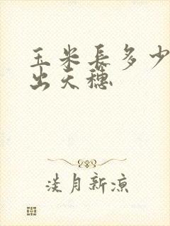玉米长多少叶就出天穗