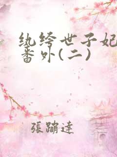 纨绔世子妃后记番外(二)