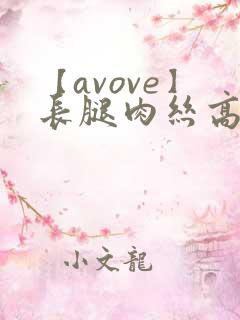 【avove】长腿肉丝高跟