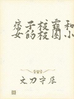 痞子校霸和乖乖女的校园小说