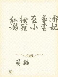 红妆至尊:邪帝溺宠小蛮妃
