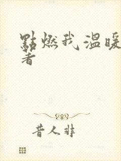 点燃我温暖你原著