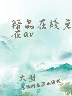 精品在线免费午夜av