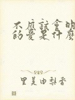 不应该会明白我的爱是什么歌