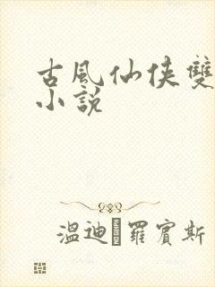 古风仙侠双男主小说