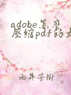 adobe怎么压缩pdf的大小