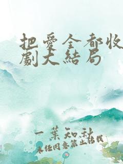 把爱全都收回短剧大结局