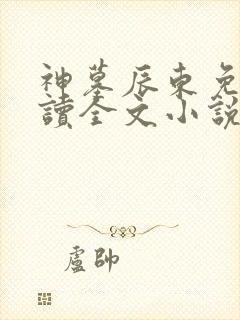 神墓辰东免费阅读全文小说