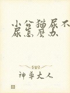 小公猫尿不出来尿怎么办