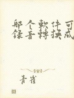 哪个软件可以把录音转换成文字