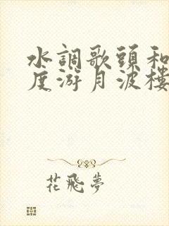 水调歌头和马叔度游月波楼赏析