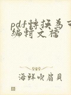 pdf转换为可编辑文档