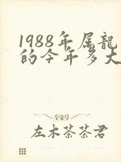 1988年属龙的今年多大岁数