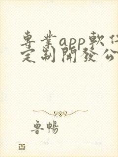 专业app软件定制开发公司