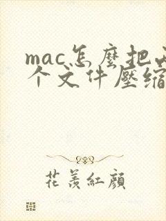 mac怎么把两个文件压缩在一起