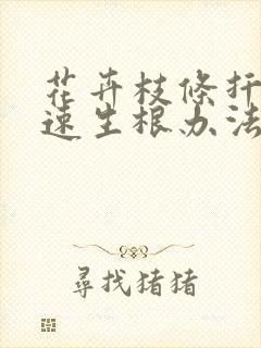 花卉枝条扦插快速生根办法