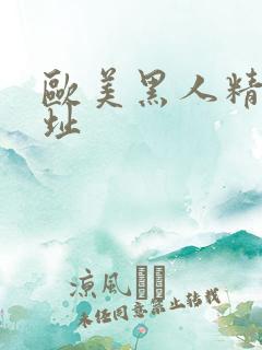 欧美黑人精品网址