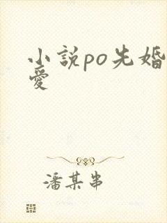 小说po先婚后爱