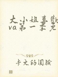 大小姐喜欢hova第一季免费观看