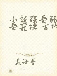小说强受弱攻 受宠攻 古代