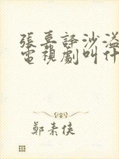 张嘉译沙溢演的电视剧叫什么名
