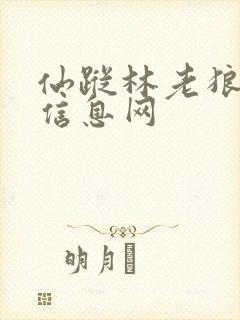 仙踪林老狼贰佰信息网