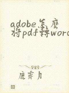 adobe怎么将pdf转word