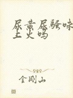 尿黄尿骚味重是上火吗