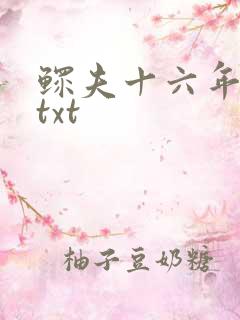 鳏夫十六年番外txt