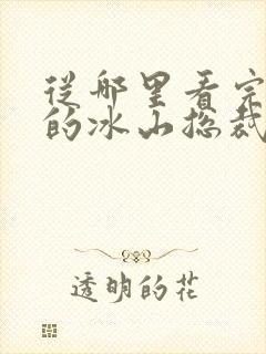从哪里看完结我的冰山总裁未婚妻