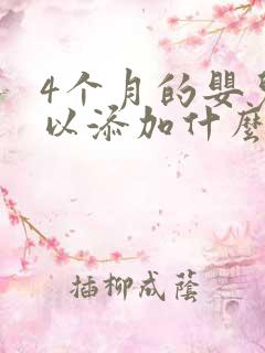 4个月的婴儿可以添加什么辅食