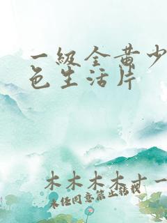 一级全黄少妇性色生活片