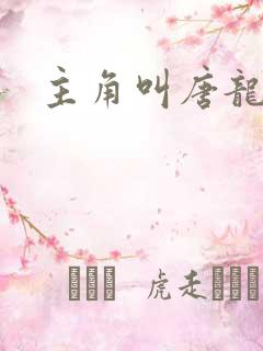 主角叫唐龙小说
