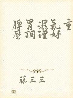 脾胃湿气重吃什么调理好