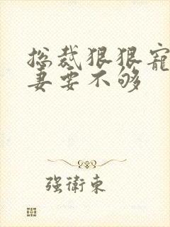 总裁狠狠宠,娇妻要不够