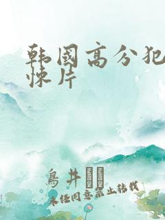 韩国高分犯罪惊悚片